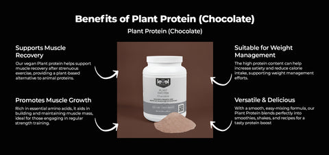 Infographic of Plant Protein Chocolate benefits: muscle recovery and weight management